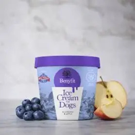 Benyfit Blueberry & Apple Ice Cream for Dogs 140ml