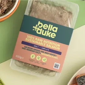 Bella & Duke Salmon Adult Complete 500g