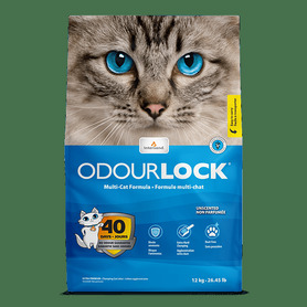 Intersand Cat Litter - Odourlock