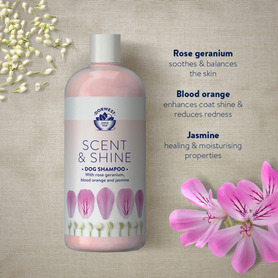 Dorwest Scent & Shine Shampoo