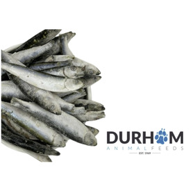 DAF Frozen Sprats 
