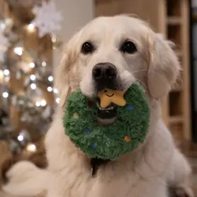 PetFace - REMY WREATH PLUSH & RUBBER CHRISTMAS DOG TOY