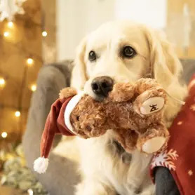 PetFace - Cassie Curly Christmas Teddy Plush Dog Toy 