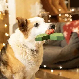 PetFace - Holly The Latex Christmas Dog Toy