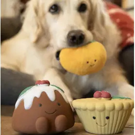 PetFace - Misha Mince Pie Latex Christmas Dog Toy