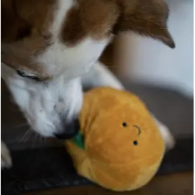 PetFace - Saski Satsuma Plush Christmas Dog Toy