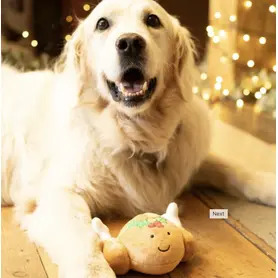 PetFace - Tasha Turkey Plush Christmas Dog Toy