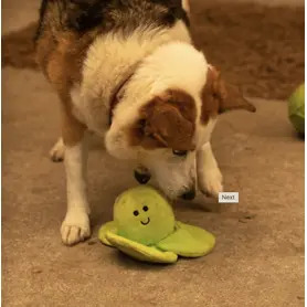 PetFace - Sprihaa Sprout Plush Christms Dog Toy