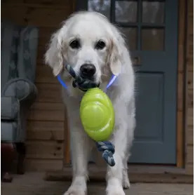 PetFace - Outdoor Paws Glow In The Dark Rugby Ball With Rope