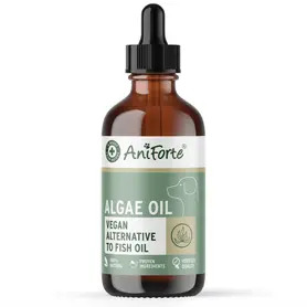 Aniforte Algae Oil - 50ml 
