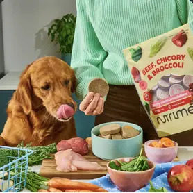 Nutriment Chicken, Chicory & Courgette Gently Cooked Medallions 800g