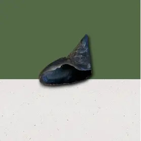 Anco Naturals Buffalo Hooves x1 