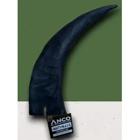Anco Giant Buffalo Horn