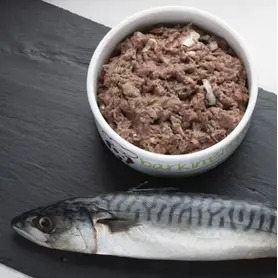 Barkin Bistro Raw Just Mackerel 400g