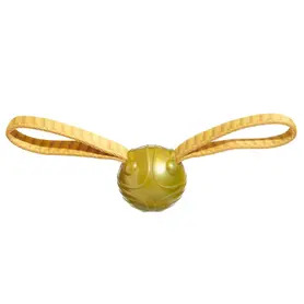 Bark - Harry Potter The Golden Snitch