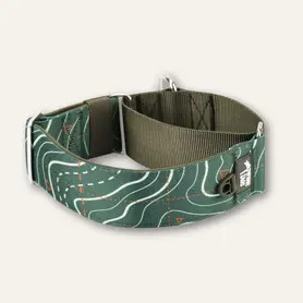 Twiggy Tags Martingale Collar Medium - Nomad