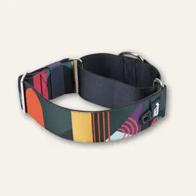 Twiggy Tags Martingale Collar X Large - Aurora