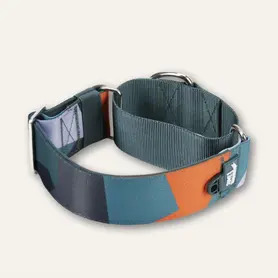 Twiggy Tags Martingale Collar Medium - Ridge