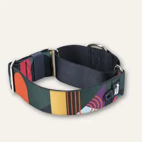 Twiggy Tags Martingale Collar Large - Aurora