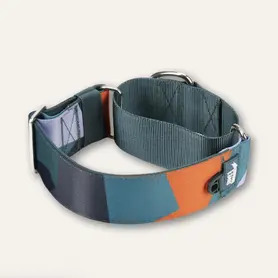 Twiggy Tags Martingale Collar Large - Ridge