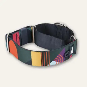 Twiggy Tags Martingale Collar Small - Aurora