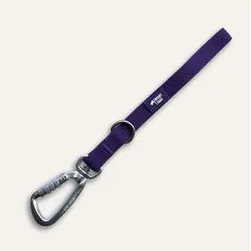 Twiggy Tags Tidal Waterproof Grab Handle - Amethyst