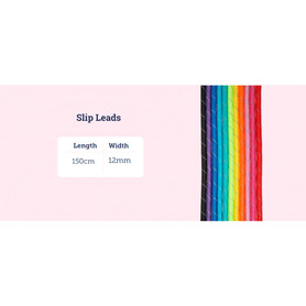 Doodlebone Originals Slip Lead 