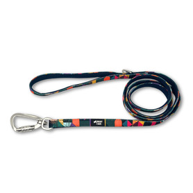 Twiggy Tags Adventure Lead 