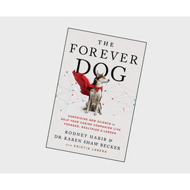 The Forever Dog - Book