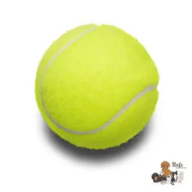 Tennis Ball - Single