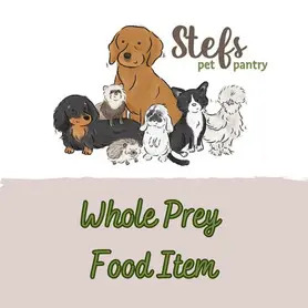 Kiezebrink Day Old Chicks