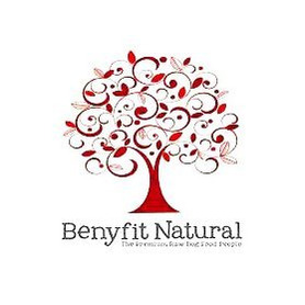 Benyfit Natural 80*10*10 Turkey Meat Feast 