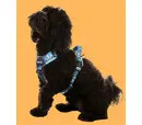 *10% OFF* Doodlebone Trendy Tails With Me Harness Navy Reef 4-7