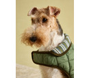 Joules Khaki Quilted Coat