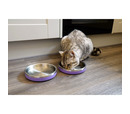 Rosewood Double Wall Stainless Steel Bowl