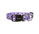 Doodlebone Originals Pattern Dog Collar - Violet Stars 1-2