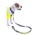 PetFace Reflective Flashing Yellow Dog Collar 
