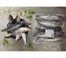 Kiezebrink Sardines (1kg)