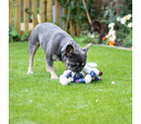 Rosewood Maisie Mouse Plush Dog Toy