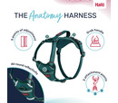 Halti Anatomy Harness