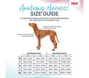 Halti Anatomy Harness