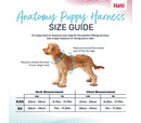 Halti Anatomy Puppy Harness Grey