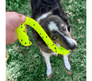 KONG Reflex Tug 'n' Fetch