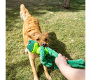 KONG Knots Frog Lg/XL