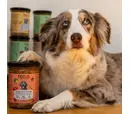 Sana Dog - Freshly Steam-Cooked Complete Horse with Sweet Potato, Carrot & Blueberries 400g