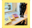 Axel's Elixir Cat -  Duck Happy Bones, Bone Broth (12 x 20g)
