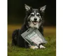 Anco Naturals Freeze Dried Beef Cubes 50g