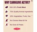 Carnilove Duck & Turkey Large Breed Adult Cat 400g