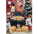 Just 'Ere Fot Treats - Christmas Treat Bag For Cats