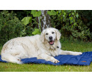 PetFace Roll Up Travel Dog Bed